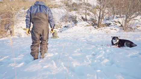 Alaskan-Malamute-Hund-Frisst,-Während-Der-Camper-Verschneiten-Boden-Mit-Den-Füßen-Nivelliert