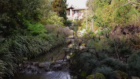 peaceful-stream-and-waterfall-under-a-bridge-to-a-Chinese-temple-in-a-peaceful-botanical-garden