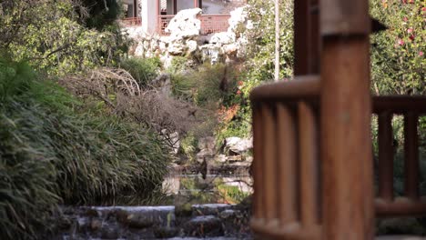 Blick-Auf-Einen-Ruhigen-Wasserfall-Im-Chinesischen-Tempelgarten-Von-Einem-Friedlichen-Pavillon-Aus