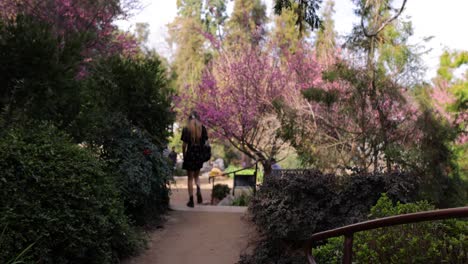Mujer-Joven-Caminando-Sola-Por-El-Hermoso-Jardín-Botánico-De-Vacaciones