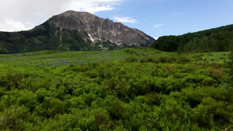 Natürliche-Schönheit-Und-Unberührte-Umgebung-Des-Deer-Creek-Trail,-Colorado
