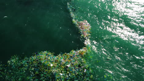 Aerial-top-down,-layer-of-ocean-plastic-trash-gathered-between-two-currents
