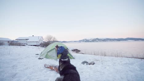 Europäischer-Mann-Und-Sein-Haustier-Alaskan-Malamute-Campen-Im-Winter-Zusammen-Auf-Einem-Verschneiten-Campingplatz-Am-Fjord
