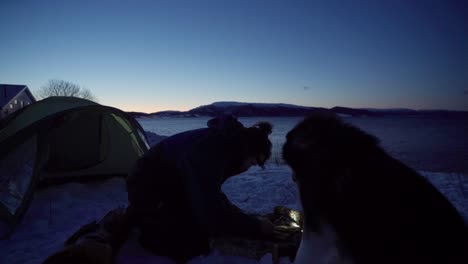 Malamute-De-Alaska-Viendo-A-Su-Dueño-Preparar-Una-Fogata-En-La-Nieve-En-Una-Fría-Noche-De-Invierno