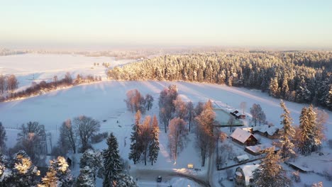 Small-rural-homestead-surrounded-by-dense-snowy-forest,-aerial-fly-over-shot