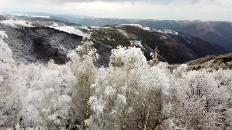 Snow-days-in-Apuseni-Mountains-near-Cluj,-Romania