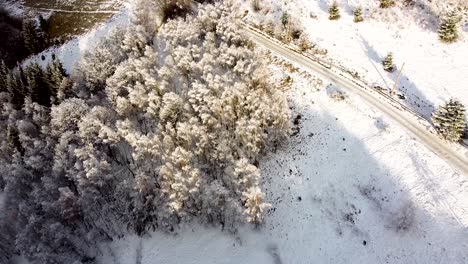 Luftaufnahme-über-Einen-Wald-In-Der-Nähe-Des-Dorfes-Marisel-In-Den-Apuseni-Bergen