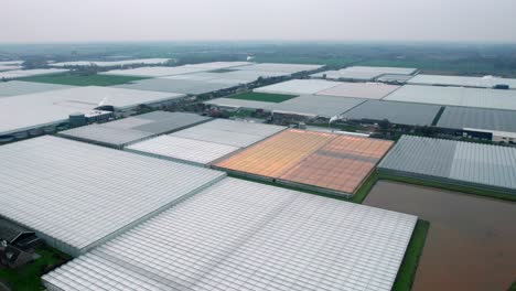 Rotating,-wide-drone-shot-of-large-commercial-greenhouses-on-the-Dutch-landscape
