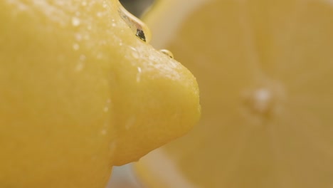 Water-drop-falling-down-fresh-lemon-surface-in-slow-motion,-half-lemon-background