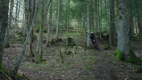 A-mountain-biker-rides-down-a-very-steep-hill-in-a-forest