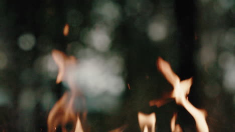 Brennende-Feuerflammen-Auf-Verschwommenem-Hintergrund,-Waldbrand-wildfire-konzept,-Lagerfeuer-Im-Freien-Außer-Kontrolle