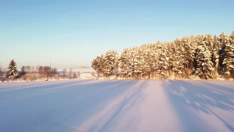 Goldene-Sonne,-Die-Auf-Nadelwald-Scheint,-Der-Mit-Reinem-Weißem-Schnee-Bedeckt-Ist,-Luftaufnahme