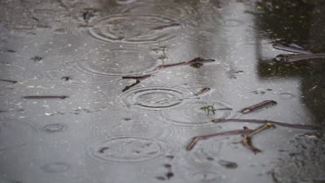 Regen-Verursacht-Wellen-In-Einer-Pfütze-Voller-Stöcke-Und-Blätter