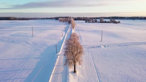 Leere-Ländliche-Straße-Mit-Weißem-Schnee-Bedeckt,-Luftfliege-Rückwärts-Geschossen