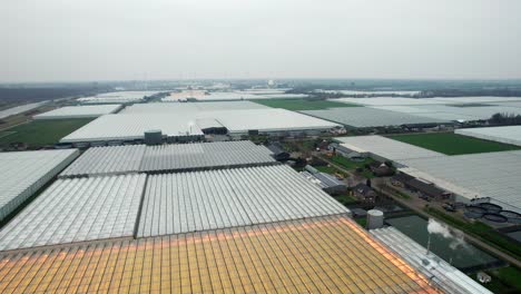 Trucking-shot-of-large-commercial-greenhouses-all-over-the-Dutch-landscape
