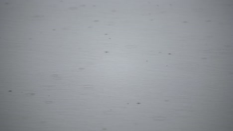 Rain-causes-ripples-on-the-sruface-of-a-lake