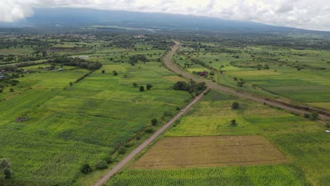 African-agriculture-green-cultivated-plantations-in-southern-Kenya,-aerial-view