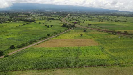 Plantations-at-footstep-of-Kilimanjaro,-Kenya,-aerial-view-on-African-farmland