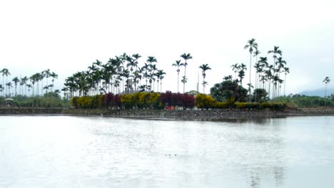 überflutetes-Reisfeld-Mit-Garten-Und-Gebäude-Im-Hintergrund