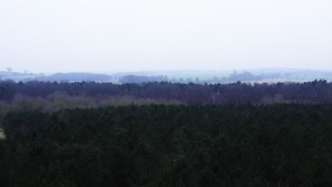 Wald-An-Kalten-Wintermorgen-Im-Vereinigten-Königreich