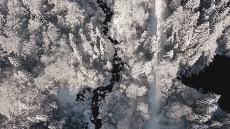 An-Aerial-View-of-Cirque-du-Fer-à-Cheval-while-covered-in-snow-during-a-cold-winter,-looking-down-at-a-frosted-river-flowing-between-the-forest-covered-valley-next-to-a-lake