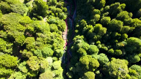 Aerial-top-down-over-Termas-Geometricas-hot-spring-complex-in-ravine-surrounded-by-forest-at-daytime,-Coñaripe,-Chile