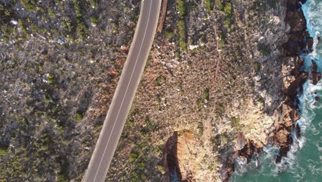 Top-down-drone-shot-of-Clarence-Drive-outside-Cape-Town