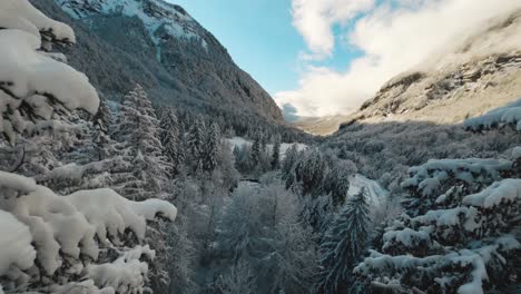 An-Aerial-View-of-Cirque-du-Fer-à-Cheval-while-covered-in-snow-during-a-cold-winter,-going-fast-tight-in-between-the-forest-bed-tip-with-an-FPV-drone-to-reveal-the-tenneverge-peak