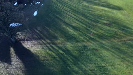 Long-shadows-from-big-trees-on-the-green-grass-and-landscape,-drone-panning-up-to-reveal-the-mountains-far-away