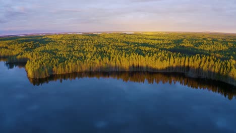 Green-coniferous-trees-lit-by-a-setting-sun-slowly-change-color-to-yellow-while-the-forest-is-reflected-on-the-calm-sea