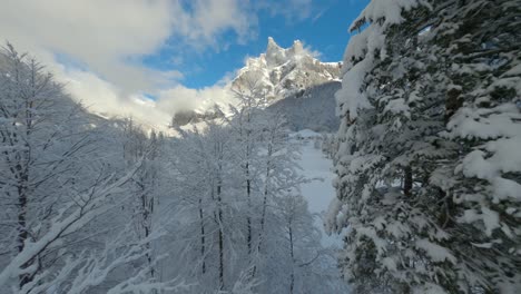 Eine-Luftaufnahme-Des-Cirque-Du-Fer-à-Cheval,-Während-Er-Während-Eines-Kalten-Winters-Mit-Schnee-Bedeckt-Ist,-Eine-Schnelle,-Immersive-Aufnahme-Zwischen-Den-Ästen-Eines-Schneebedeckten-Pinienwaldes,-Um-Die-Wunderschönen-Berge-Zu-Enthüllen