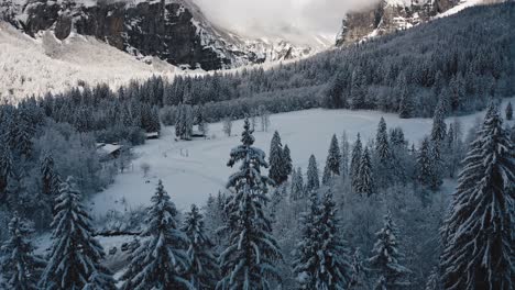 An-Aerial-View-of-Cirque-du-Fer-à-Cheval-while-covered-in-snow-during-a-cold-winter,-flying-towards-the-nordic-skiing-piste-to-tilt-up-and-reveal-the-deep-snow-frosted-valley-of-sixt