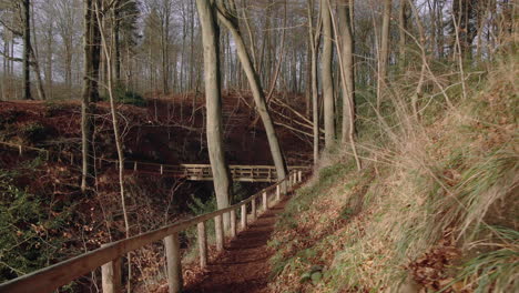 Holzbrücke-In-Einem-Friedlichen-Wald-An-Einem-Sonnigen-Tag-Gimbal-Glatter-Naturwald-Winterherbst