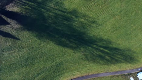 Long-shadows-from-big-trees-on-the-green-grass-and-landscape,-drone-rotating-slowly