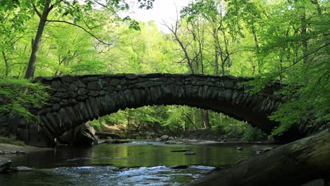 A-static-shot-of-cyclists-and-runners-crossing-Boulder-Bridge-in-Rock-Creek-Park-on-a-beautiful-spring-day-in-Washington,-D