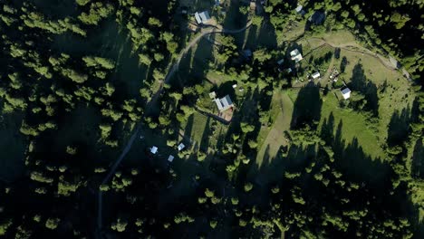Aerial-top-down-on-countryside-houses-in-green-valley-surrounded-by-forest-at-daytime