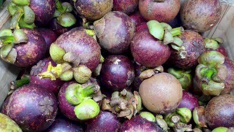 A-box-of-ripe-purple-mangosteen-tropical-edible-fruit-in-Southeast-Asia,-slow-pan-top-to-bottom