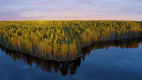 Antenne-über-Reflektierendem-Ruhigem-See-In-Richtung-Zum-Sonnenuntergang-Beleuchteter-Nadelwald-In-Finnland