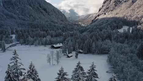 An-Aerial-View-of-Cirque-du-Fer-à-Cheval-while-covered-in-snow-during-a-cold-winter,-flying-low-close-to-the-forest-tree-tips-and-tilting-up-to-reveal-the-valley-of-sixt-frosted-in-the-shadow