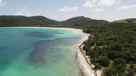 DRONE-PUSH-IN-PUERTO-RICO-CULEBRA-ISLAND-BLUE-AND-GREEN-WATER-AND-TREES-BEACH