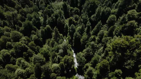 Aerial-tilt-up-of-water-stream-flowing-between-dense-green-forest,-hills-in-background,-near-Salto-El-Leon,-Pucon,-Chile