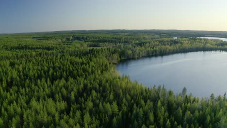 Luft-über-Nadelwald-In-Finnland-Neben-Einem-Ruhigen-Blauen-See
