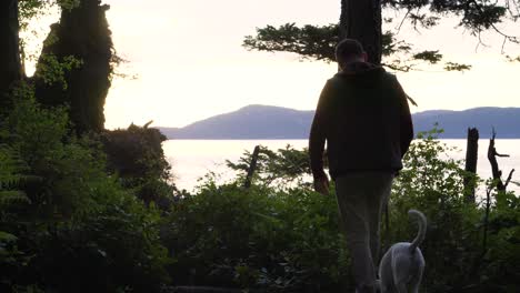 Man-With-His-Dog-Walking-Through-Green-Foliage-Near-The-Shores-Of-Washington-Park-In-Anacortes,-Washington-USA