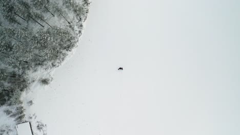Mann-Mit-Zwei-Schwarzen-Hunden-Geht-An-Schneebedeckten-Bäumen-Vorbei-über-Einen-Zugefrorenen-Und-Schneebedeckten-See