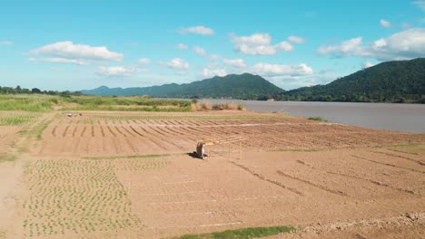 Pequeña-Agricultura-Local-Agricultura-Jardinería-Ribereña-A-Lo-Largo-Del-Río-Mekong-En-La-Frontera-Con-Tailandia-Y-Laos