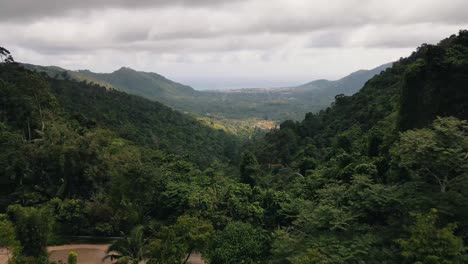 Bosque-Verde-Muy-Denso-En-La-Isla-De-Koh-Samui-En-Tailandia-En-Un-Día-Nublado