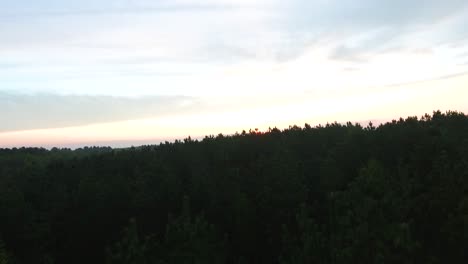 Woodland-tree-tops-at-sunset-slowly-moving-forward-aerial-shot