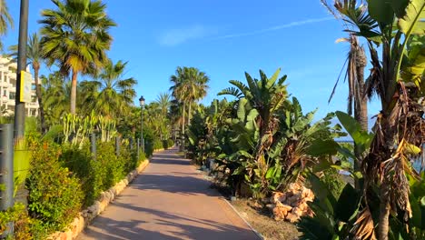 Walking-through-a-tropical-path-by-the-sea-on-a-sunny-day-with-blue-sky-and-palm-trees-in-Marbella-Spain,-holiday-destination-promenade-nature-Estepona,-4K-shot