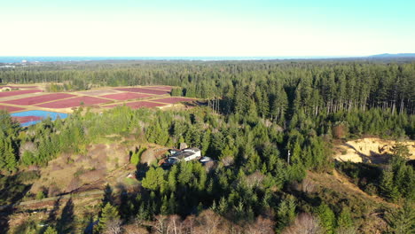 Cranberry-bogs-and-forest-in-Bandon-Oregon,-seen-from-above