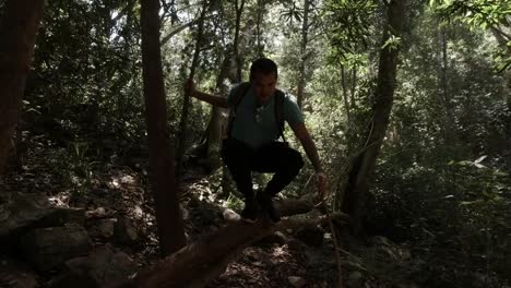 Hispanisches-Männchen,-Das-In-Einem-Wald-über-Einen-Umgestürzten-Baumstamm-Klettert